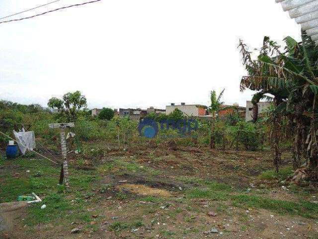 Terreno à Venda ao Lado do Aeroporto de Guarulhos - 6.000 m² - Guarulhos/SP