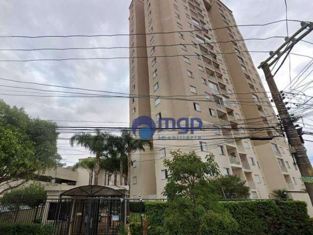 Apartamento com 3 quartos, à venda na Vila Maria - 65 m² - São Paulo/SP