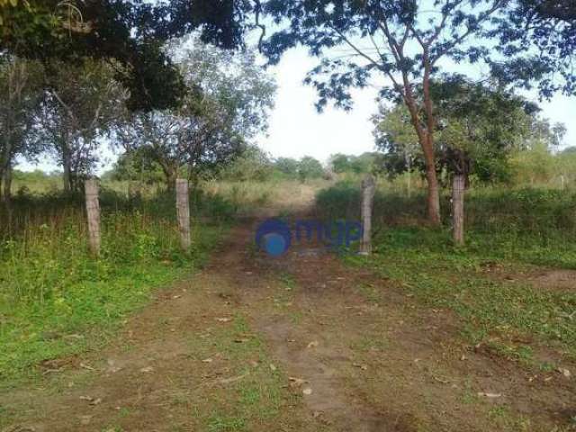 Fazenda à venda em São Felix do Araguaia - 250 Hectares - São Felix do Araguaia/MT