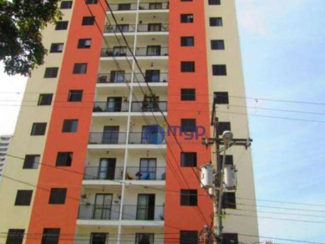 Apartamento com 3 dormitórios à venda, 75 m² - Vila Guilherme - São Paulo/SP