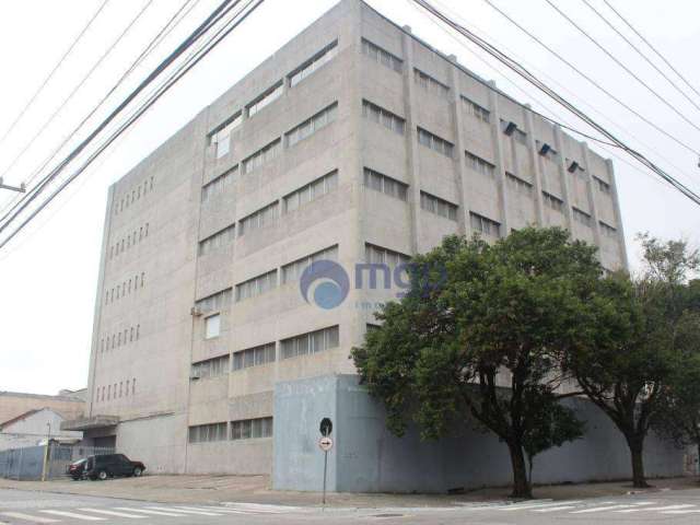 Prédio Comercial à Venda no Brás - 9.313 m² - São Paulo/SP