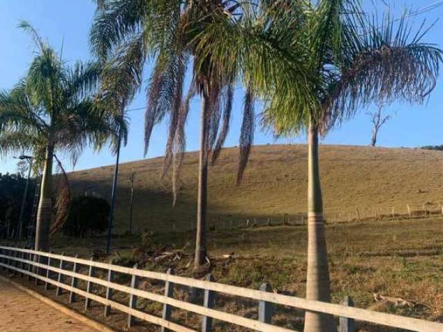 Fazenda á venda em Piranguinho - MG com 32 hectares