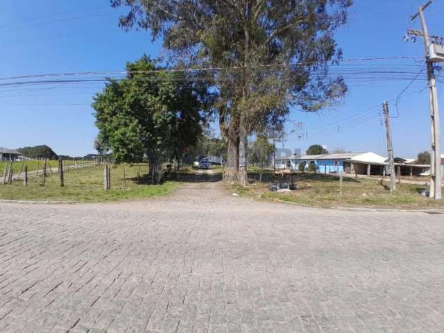 Terreno à venda na Rua Joaquim Alves Fontes, 1864, Colônia Murici, São José dos Pinhais, 17393 m2 por R$ 2.600.000