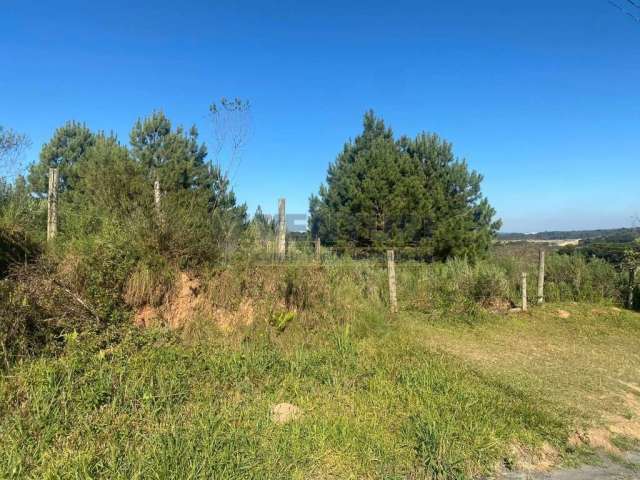 Terreno à venda na Rua Leonardo Difert, 896, Barro Preto, São José dos Pinhais por R$ 350.000