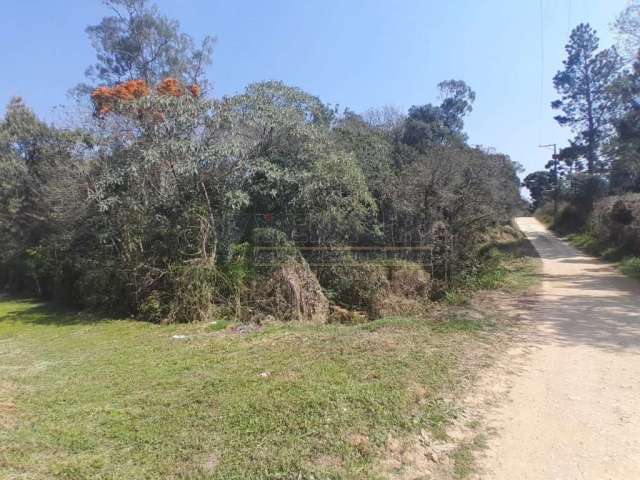 Terreno à venda na Rua Manoel Pires Cordeiro, 1682, Borda do Campo, São José dos Pinhais por R$ 280.000