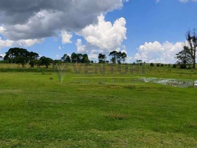 Terreno à venda na Avenida Vereador Domingos Benvenuto Moletta, 00, Campo Largo da Roseira, São José dos Pinhais por R$ 3.580.000