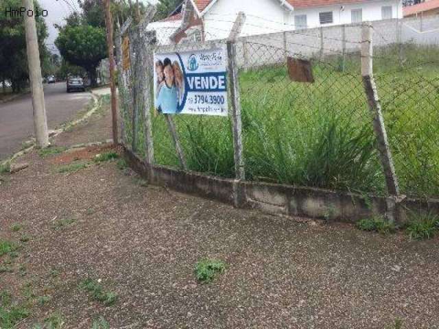 Terreno para venda na Nova Campinas em Campinas/SP