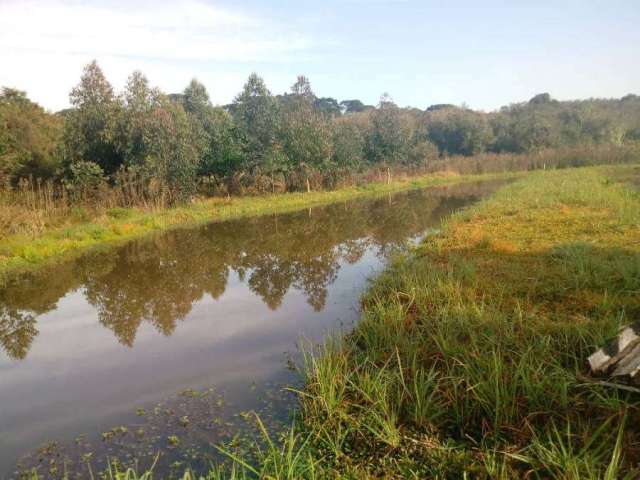 Chácara / sítio com 4 quartos à venda na Rua Professor Júlio Carvalho Gomes, Roça Velha, São José dos Pinhais, 225 m2 por R$ 750.000