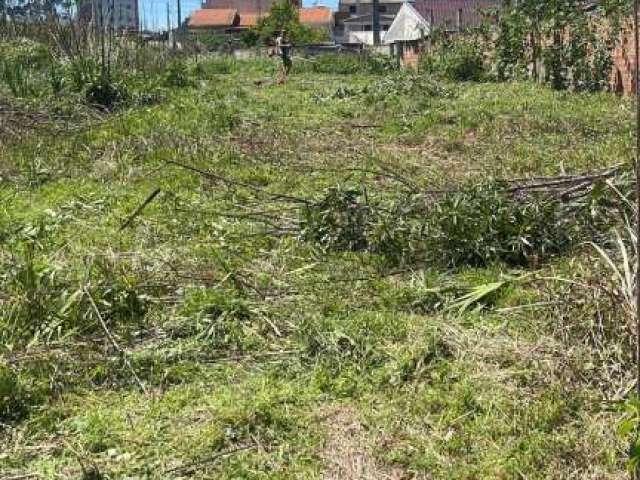 Terreno à venda no Santo Antônio, São José dos Pinhais , 5030 m2 por R$ 6.500.000