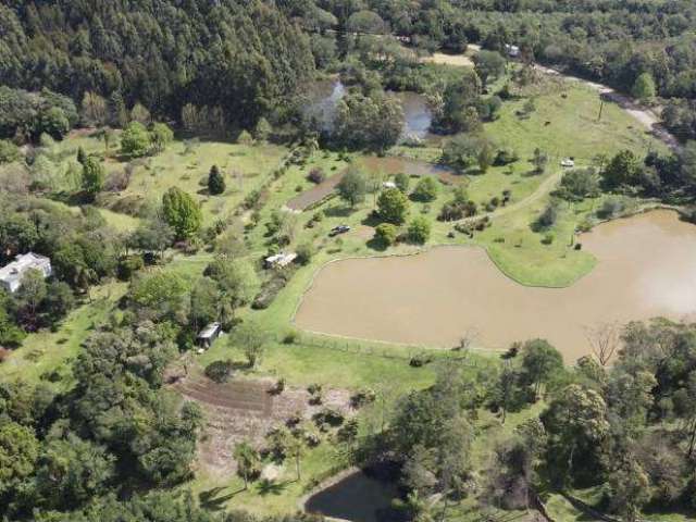 Sitio em São Jose do Herval/Morro Reuter com 7 hectares