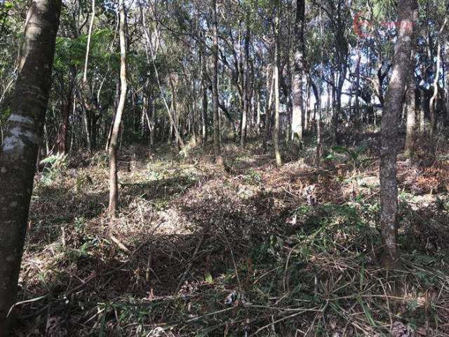 Terreno Em Condomínio A Venda Jardim Cinco Lagos Mairiporã