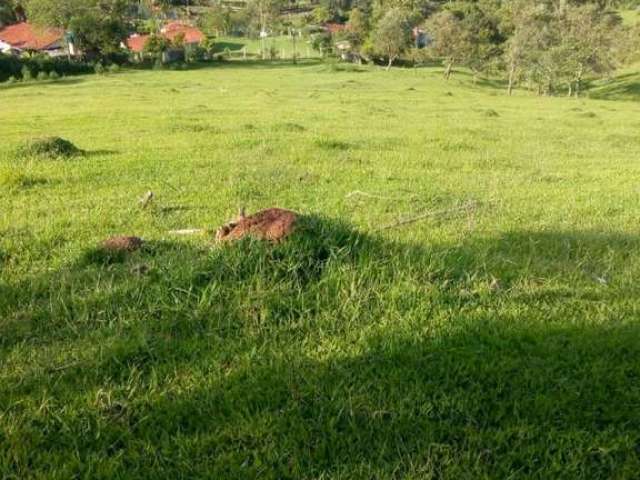 Terreno para Venda em Nazaré Paulista, Mascate