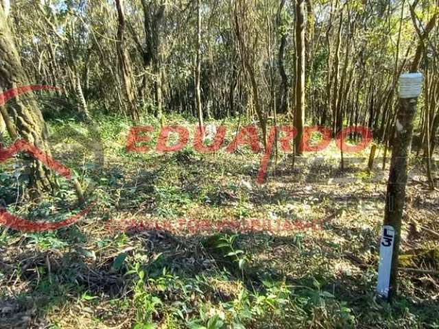 Terreno para Venda em Mairiporã, Mato Dentro