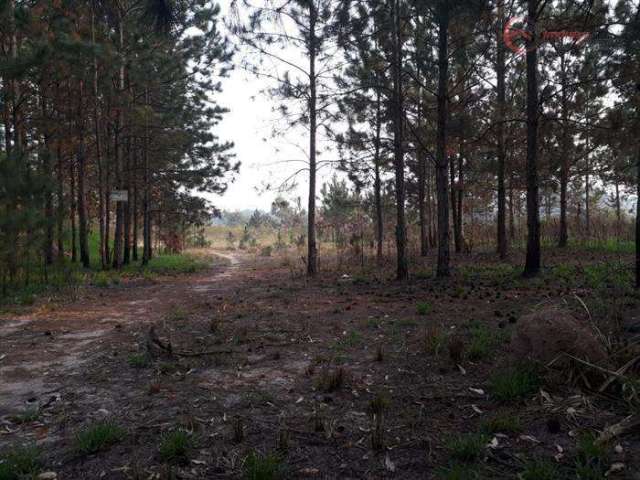 Terreno Industrial para Venda em Mairiporã, Terra Preta