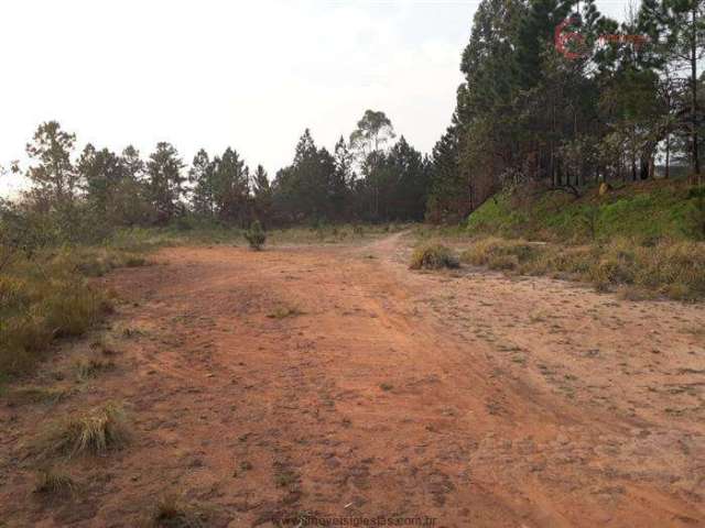 Terreno Industrial para Venda em Mairiporã, Terra Preta