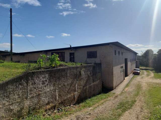 Barracão / Galpão / Depósito para alugar na Rodovia BR-376, 301, Barro Preto, São José dos Pinhais, 1187 m2 por R$ 19.000