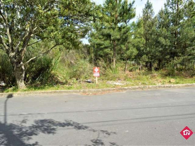 Terreno Urbanizado - Bairro Vila Verde