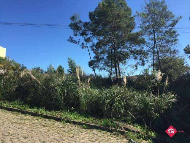 Terreno à venda na Rua João Antônio de Mattos, 320, Salgado Filho, Caxias do Sul por R$ 160.000