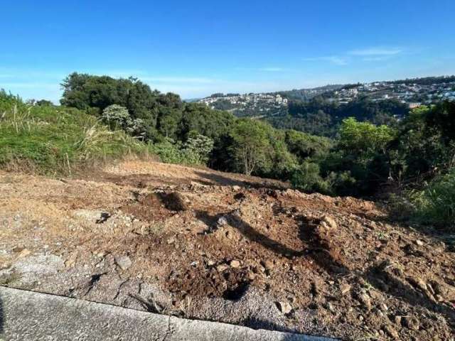 Terreno à venda na Amabile Faoro Marcon, 2278, Vila Verde, Caxias do Sul por R$ 299.000