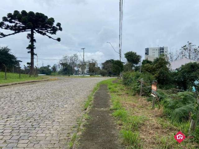 Terreno à venda na Rua Celestino Deitos, 150, Desvio Rizzo, Caxias do Sul por R$ 349.000