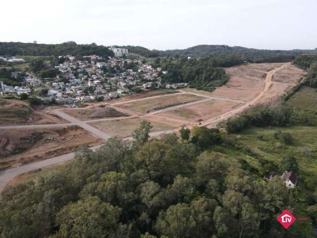 Terreno para Venda - 313.45m², 0 dormitórios, Nossa Senhora das Graças