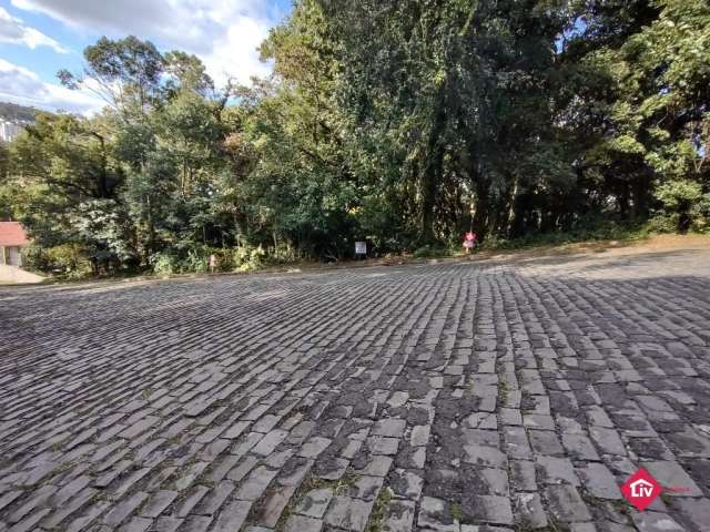 Terreno Urbanizado - Bairro Colina Sorriso.