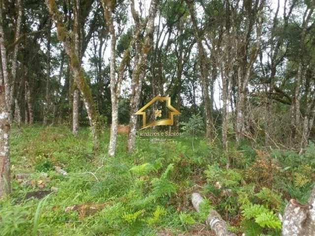 Terreno em campina grande do sul