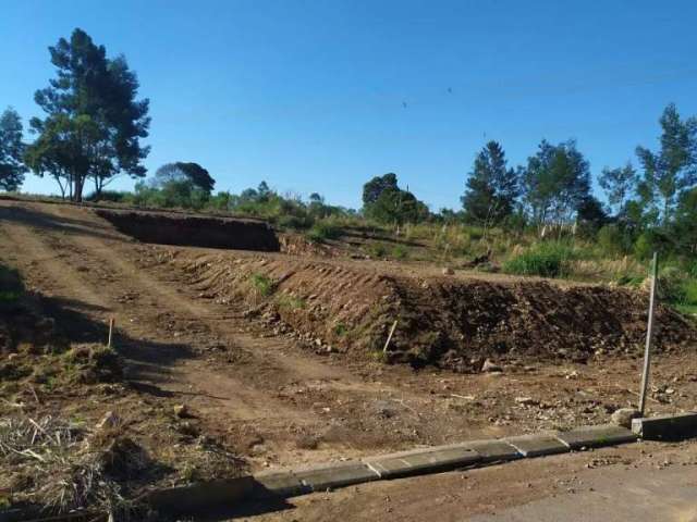 Terreno De Zorzi  - Caxias Do Sul - TE101087