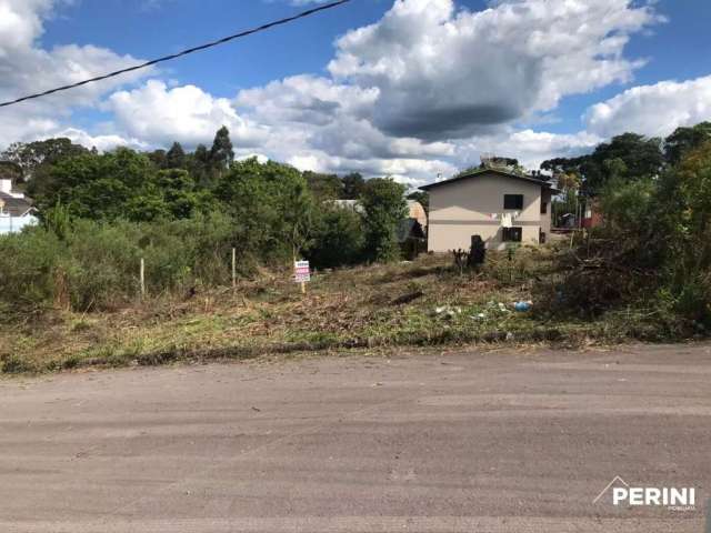 Terreno para venda,  Bela Vista Cxias do Sul - TE101249