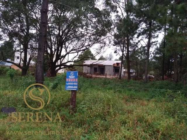 Terreno - aldeia da lagoa