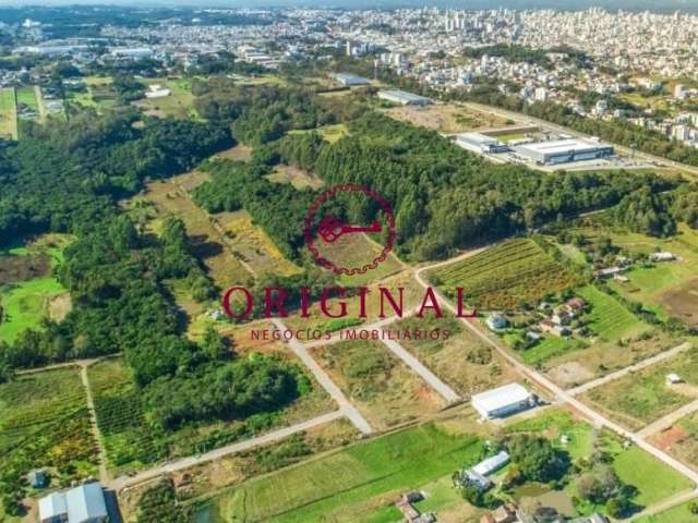 Terreno à venda na Estrada Municipal Avelina Tomazzoni Piccoli, 00, Monte Bérico, Caxias do Sul por R$ 159.000