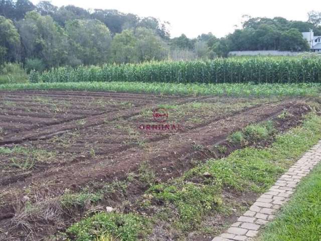 Terreno à venda na Estrada Vereador Marcial Pisoni, 1, Nossa Senhora da Saúde, Caxias do Sul por R$ 2.000.000