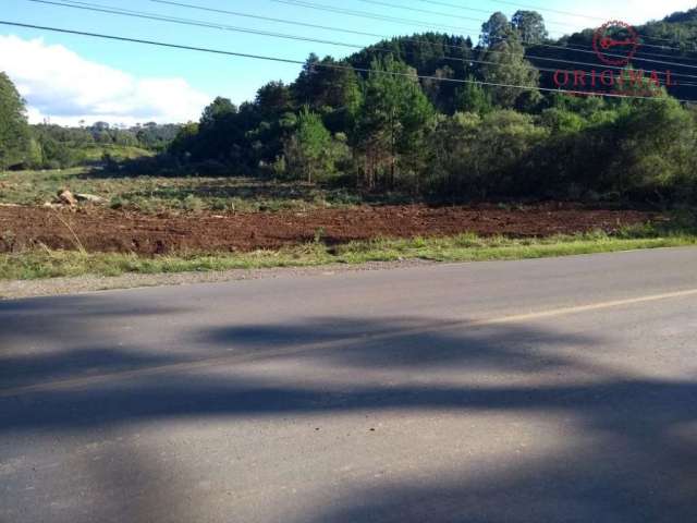 Terreno à venda na Estrada Municipal Antonio Soldatelli, Nova Roma (Distrito), Flores da Cunha por R$ 1.600.000