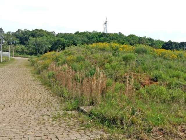 Terreno à venda na Estrada Municipal Avelina Tomazzoni Piccoli, 808, Monte Bérico, Caxias do Sul por R$ 195.000