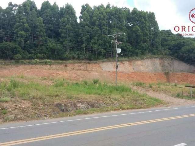 Terreno à venda na BR 116 KM 119, 1, Pedras Brancas, São Marcos por R$ 1.800.000