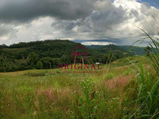 Chácara / sítio à venda na Loreto Segunda Légua, 3, Segunda Légua, Caxias do Sul por R$ 300.000