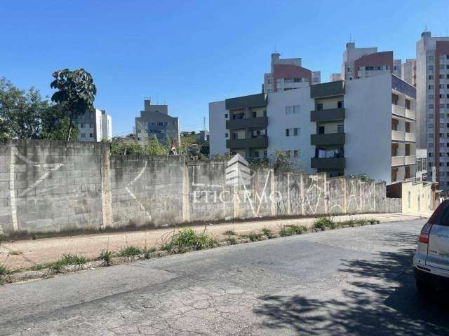 Terreno à venda, 599 m² por R$ 894.000,00 - Jardim Santa Terezinha - São Paulo/SP