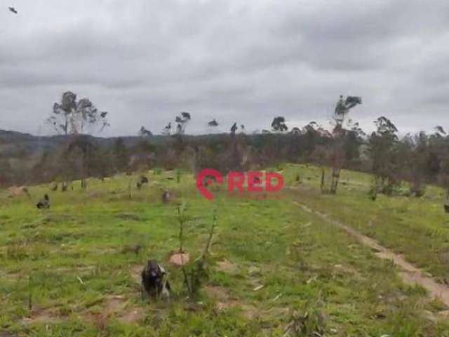 Área à venda, 52000 m² por R$ 3.000.000,00 - Zona Rural - Louveira/SP