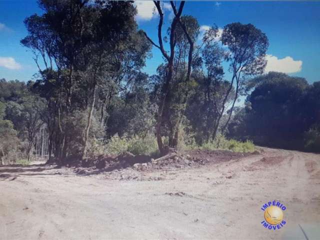 Chácara / sítio à venda na Zona Rural, Farroupilha , 69000 m2 por R$ 1.010.000