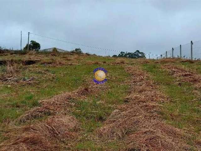 Chácara / sítio à venda no Apanhador, São Francisco de Paula  por R$ 165.000