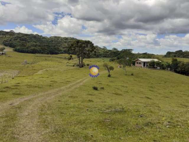 Chácara / sítio à venda no Apanhador, São Francisco de Paula , 30000 m2 por R$ 300.000