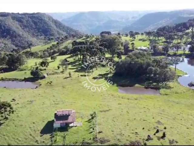 Chácara / sítio à venda no Santa Lúcia do Piaí, Caxias do Sul  por R$ 2.990.000