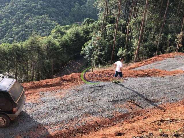 Terreno à venda, 1767 m² por R$ 700.000,00 - Eugênio Lefevre - Santo Antônio do Pinhal/SP