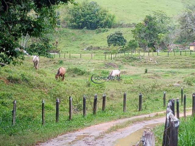 Fazenda com 2 dormitórios à venda, 1355200 m² por R$ 5.000.000,00 - Ribeirão Grande - Pindamonhangaba/SP