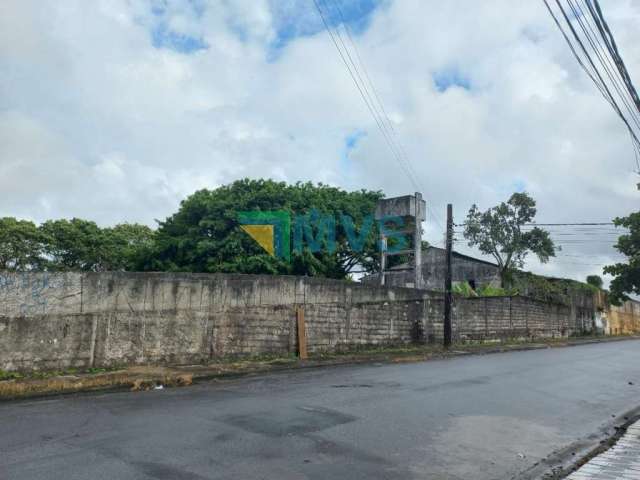 Terreno comercial à venda em Itanhaém-SP, bairro Jardim Sabauna, 8.200,00 m² de área! Venha conferir!