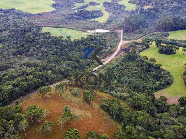 Fazenda em guarapuava pr