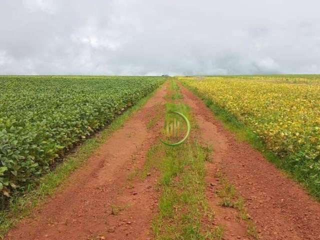 Fazenda à venda, 5808000 m² por R$ 27.000.000,00 - Centro - Água Fria de Goiás/GO