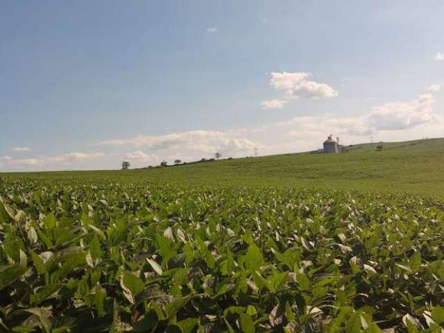 Sitio a Venda  área total de 25 Alqueires  , planta  18 alqueires