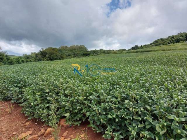 Sitio a Venda  área total de 8,8 Alqueires  plantando 6  Região de Tamarana