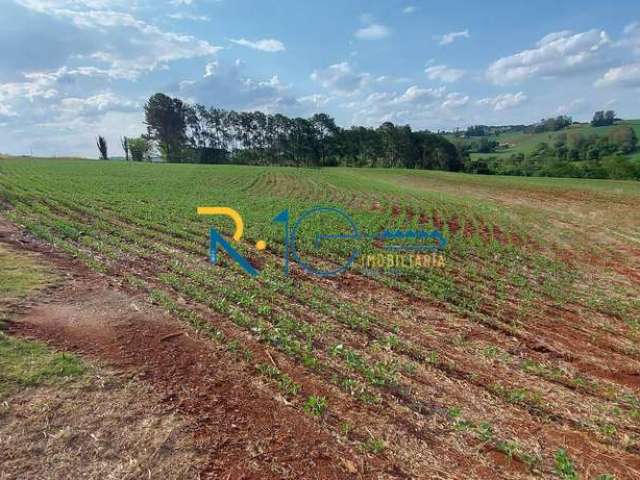 Sitio  a Venda área de 2 alqueires na Rodovia  topografia  plana  com rio.